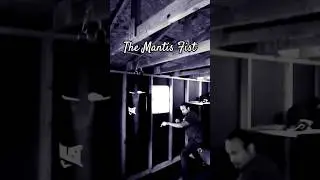 The Mantis Fist Lives On...