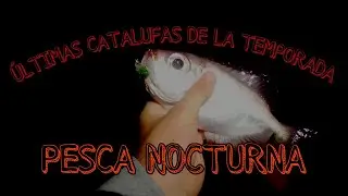 rockfishing de noche en tenerife (&uacute;ltimas catalufas del verano)(que pescar en verano)