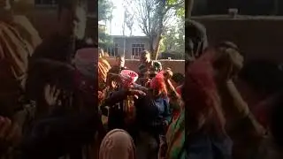 Jhamaakda Lower Barol Dari  (Kangra) Himachal 07/12/2019