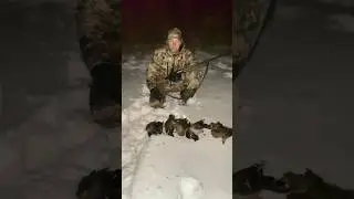 Evening in the rice paddies✅🦆 #hunting #hunting #duck #huntinginrussia