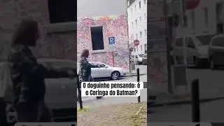 O doguinho pensando: &eacute; o Coringa do Batman?