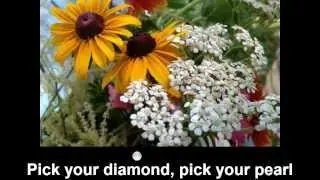 Taming Wildflowers: Beauty in the World