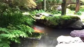 Nomura Clan Samurai Home