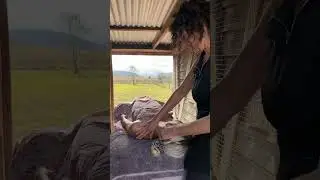 Heavenly Hunter Massage & Meditation
