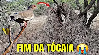NÃO AGUENTO MAIS, TIVE QUE ACABAR TUDO !