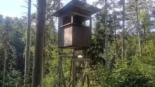 Соль,будка,лес .. #traktor 