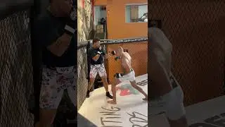 Alex Pereira com MOVIMENTA&Ccedil;&Atilde;O INSANA no sparring com Caio Borralho! 🔥👊