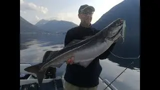 Romsdalsfjord augusti 2019 speedjigging sej