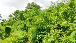 Jelajah bukit di Desa Sumberejo, Kec. Pagak | Kab. Malang Jawa Timur | ASMR POV