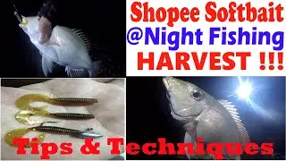 #SHOPEE LURES | NIGHT FISHING USING THE SOFTBAIT | #TIPS  ON NIGHT FISHING