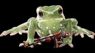 csgo : frog