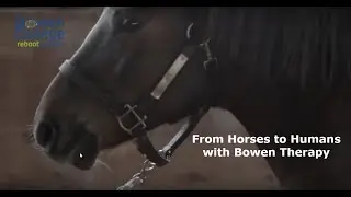 From Horses to Humans: Bowen College