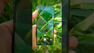 oneplus 8 camera test #viral #shorts