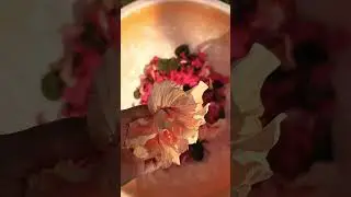 garden view #hibiscuspowder #subscribe