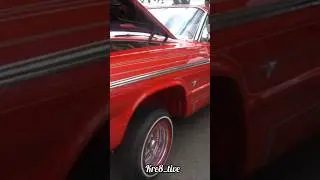 Lowrider lifestyle PNW #car #lowriderst #lowrider #lowriderbike #whitewalls #fypシ゚viral #explore