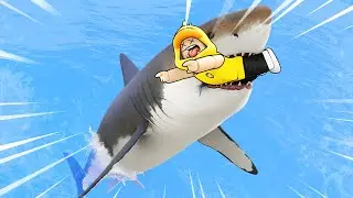 IKAN HIU!
