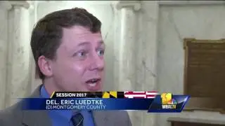 Video: Bill would stop sales of wildlife animal products