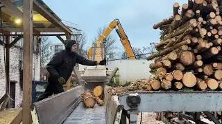 Ultimate 24/7 Marathon Of Massive Timber Shredding