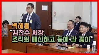 백해룡  