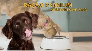 As melhores rações PREMIUM de 2023