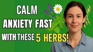 5 Powerful Herbs to Calm Anxiety Naturally &ndash; Stress Relief Tea Recipes