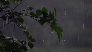 Idea 22 (anya nami remix) + rain and thunder sounds