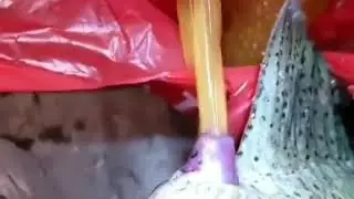 squeeze caviar from fish