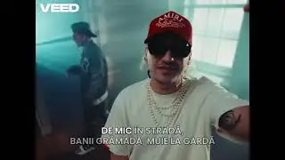 AlbertNBN x Ian x Petre Stefan - Pe strada | Official Video | VERSURI (by PATRIK)