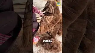 How do the Chinese make palm leaf brooms? #palm #shorts