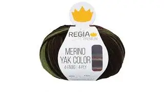 Lenas Wollshop - REGIA PREMIUM Merino Yak Color