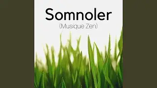 Somnoler