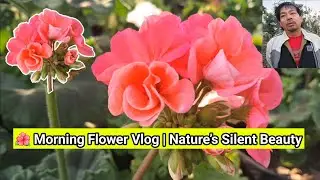 🌺 Morning Flower Vlog | Nature&rsquo;s Silent Beauty | Vikram nongz 