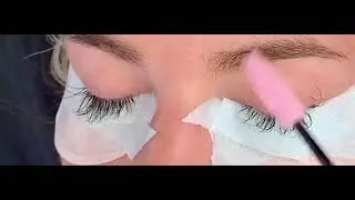 Classic lash refill