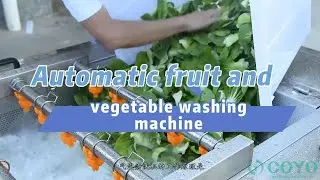 Automatic fruit and vegetable washing machine