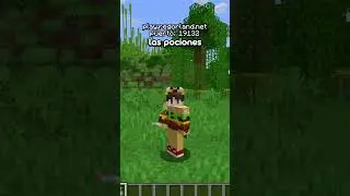 La barra localizadora en mi server de Minecraft!