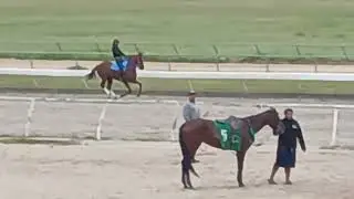 SWEET MOON, ASSET TALENT,  NAIROBI M., WL SULTÁN N. SEAKUAKE P.  HOY
