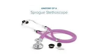 Anatomy of a Sprague Stethoscope