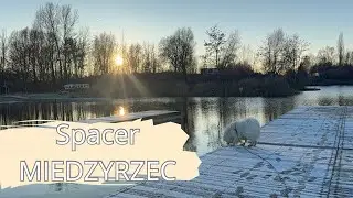 Spacer z samojedem l rodzinne miasto