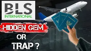 BLS International: India's Silent Multibagger? II BLS International: Hidden Gem or Missed Chance ?
