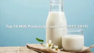World&rsquo;s Top Milk Producing Countries