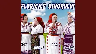 Hai buna sara