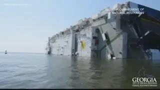 Coast Guard, federal official violating oil pollution laws at site of Golden Ray, says salvage compa