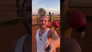 Creator Gone Wild - Aussie Edition #funny #funnyvideo #extreme #shortvideo #shorts