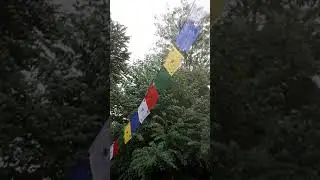 Windt&auml;nzer im Regen 🙂 wo ist denn eigentlich der Sommer?