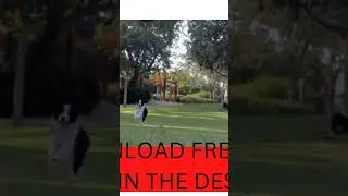 DOWNLOAD FREE DOG TRAINING EBOOK