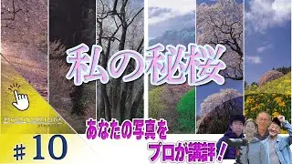 【生放送第10回】あなたの写真をプロが講評！テーマは「桜」！