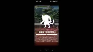 Sao md - Shattering Silence: The Fighting Dogs Wild Attack