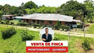 VENTA DE FINCA EN MONTENEGRO, QUIND&Iacute;O, COLOMBIA