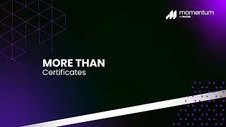Introducing Momentum AMP, the Insurance Agency Platform