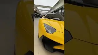 Pure driving pleasure. Lamborghini Aventador SV.